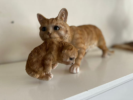 Katten- Kat- Poes met kitten - Kitten in bek -Rood