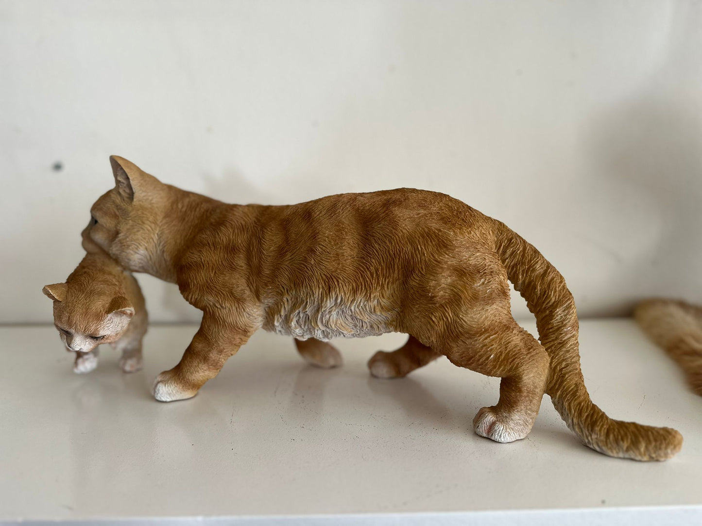 Katten- Kat- Poes met kitten - Kitten in bek -Rood
