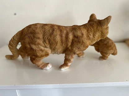 Katten- Kat- Poes met kitten - Kitten in bek -Rood