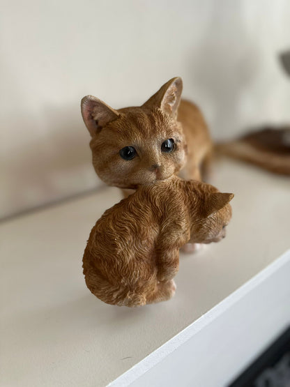 Katten- Kat- Poes met kitten - Kitten in bek -Rood