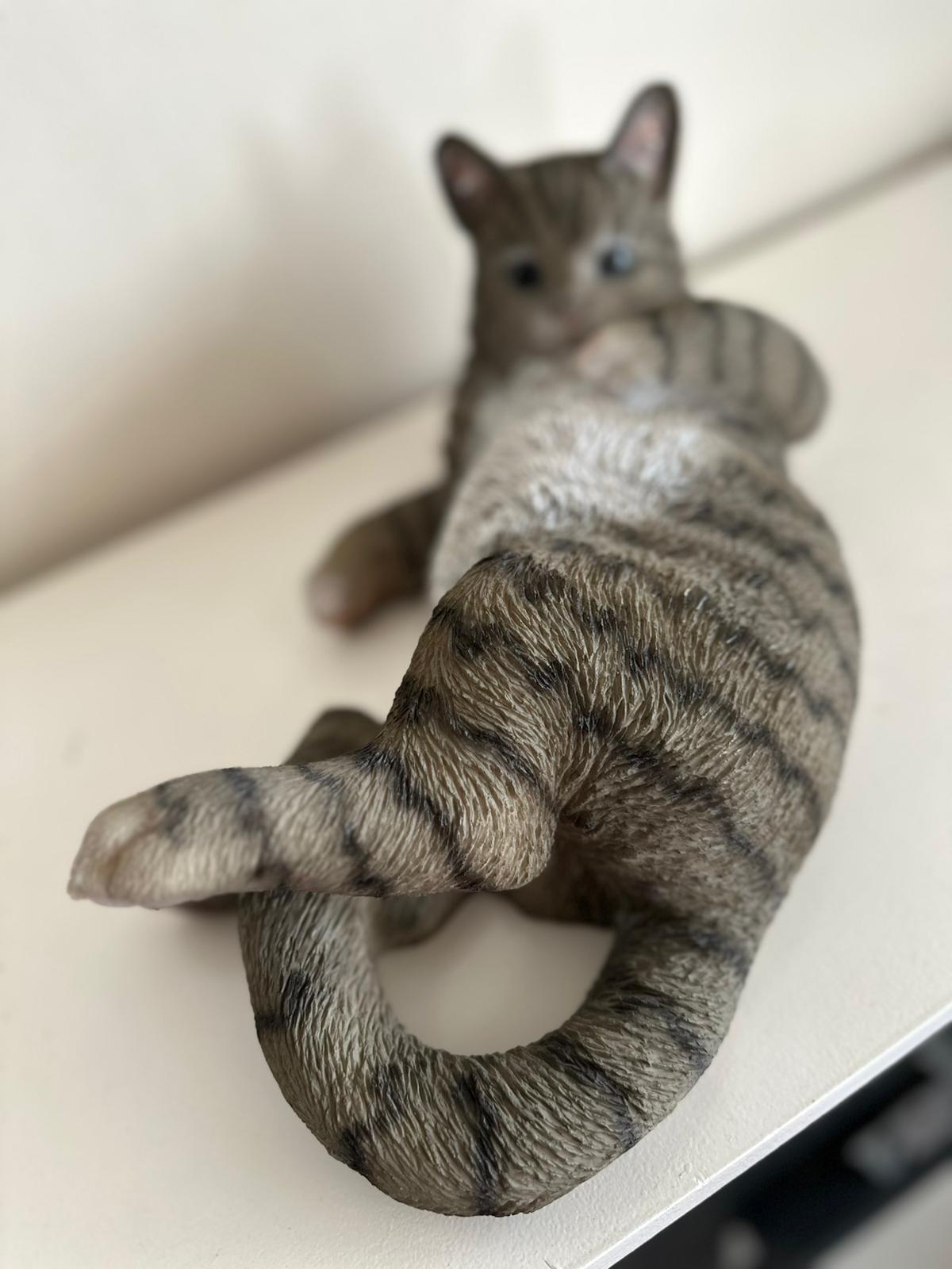 Katten - Poes - Poezen - verschillende modellen