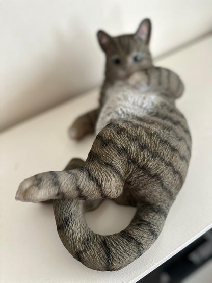 Katten - Poes - Poezen - verschillende modellen
