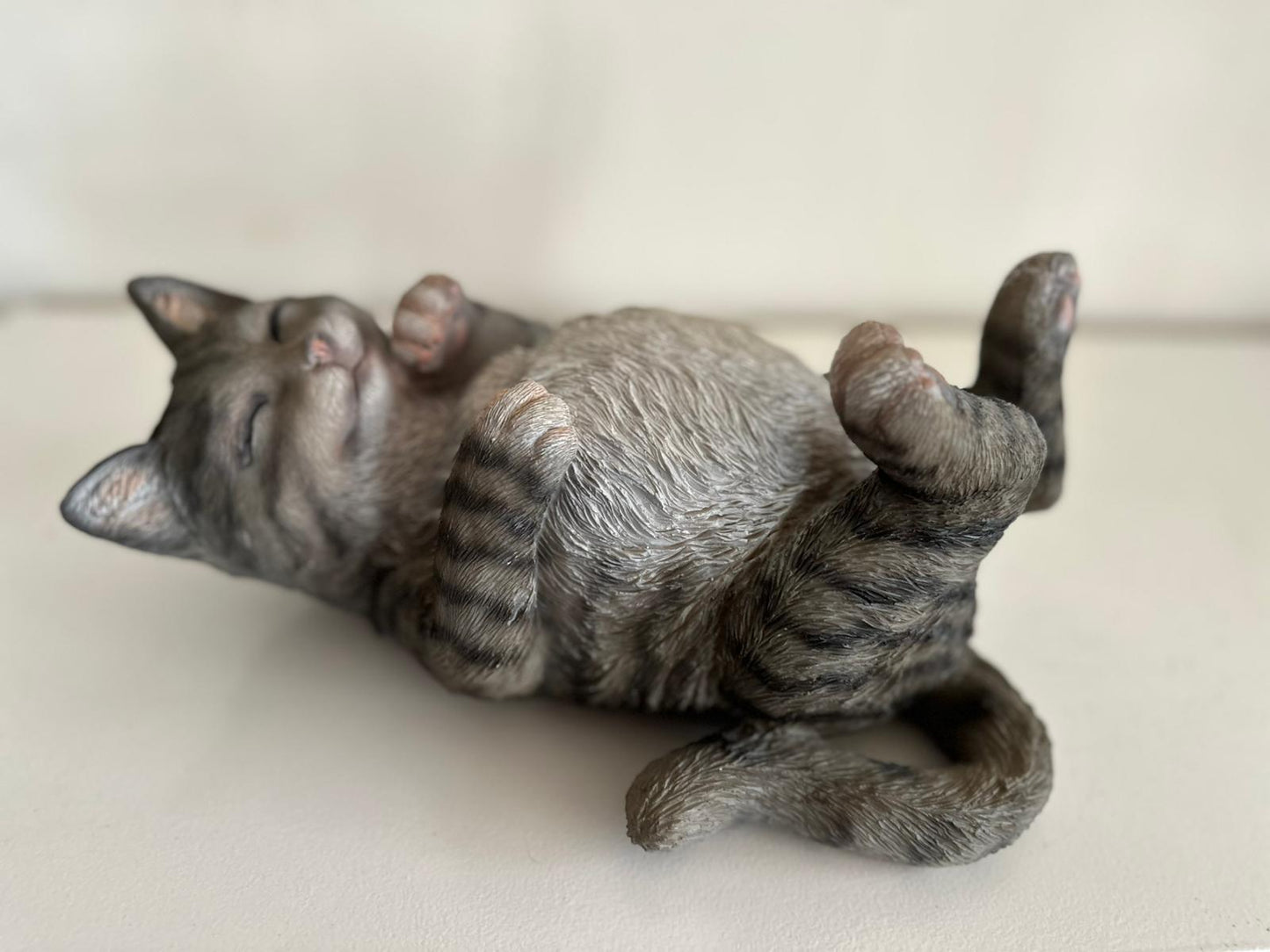 Katten - Poes - Poezen - verschillende modellen