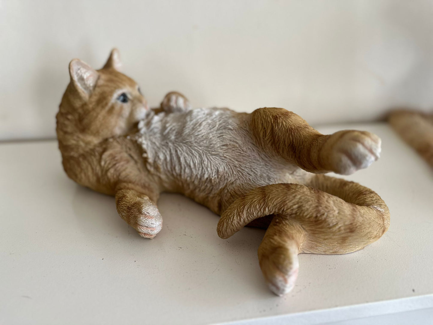 Katten - Poes - Poezen - verschillende modellen