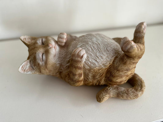Katten - Poes - Poezen - verschillende modellen