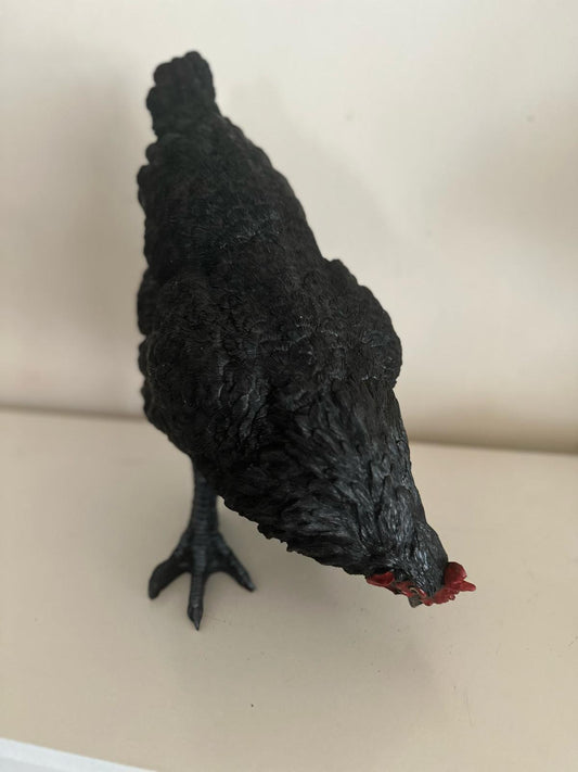 Kippen - Kip - kop laag - Zwart - Staand