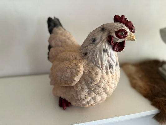 Kippen - Kip - Broedende kip - Bruin- Groot - Zittend