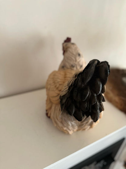 Kippen - Kip - Broedende kip - Bruin- Groot - Zittend