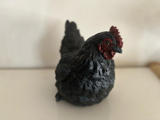 Kippen - Kip - Broedende kip - Zwart - Zittend