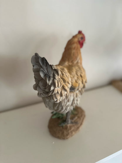 Kippen - Kip - Staande kip - Bruin