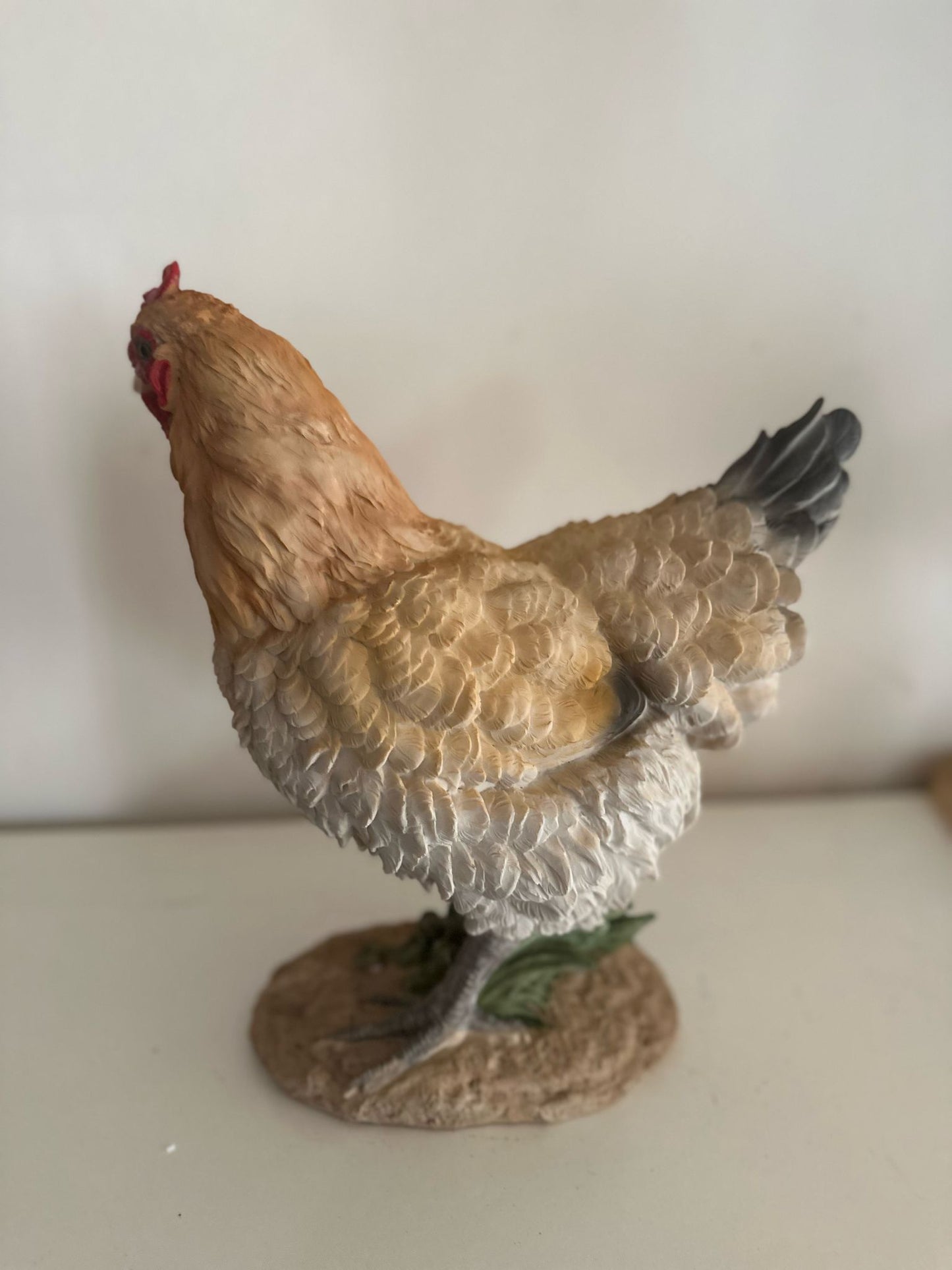 Kippen - Kip - Staande kip - Bruin