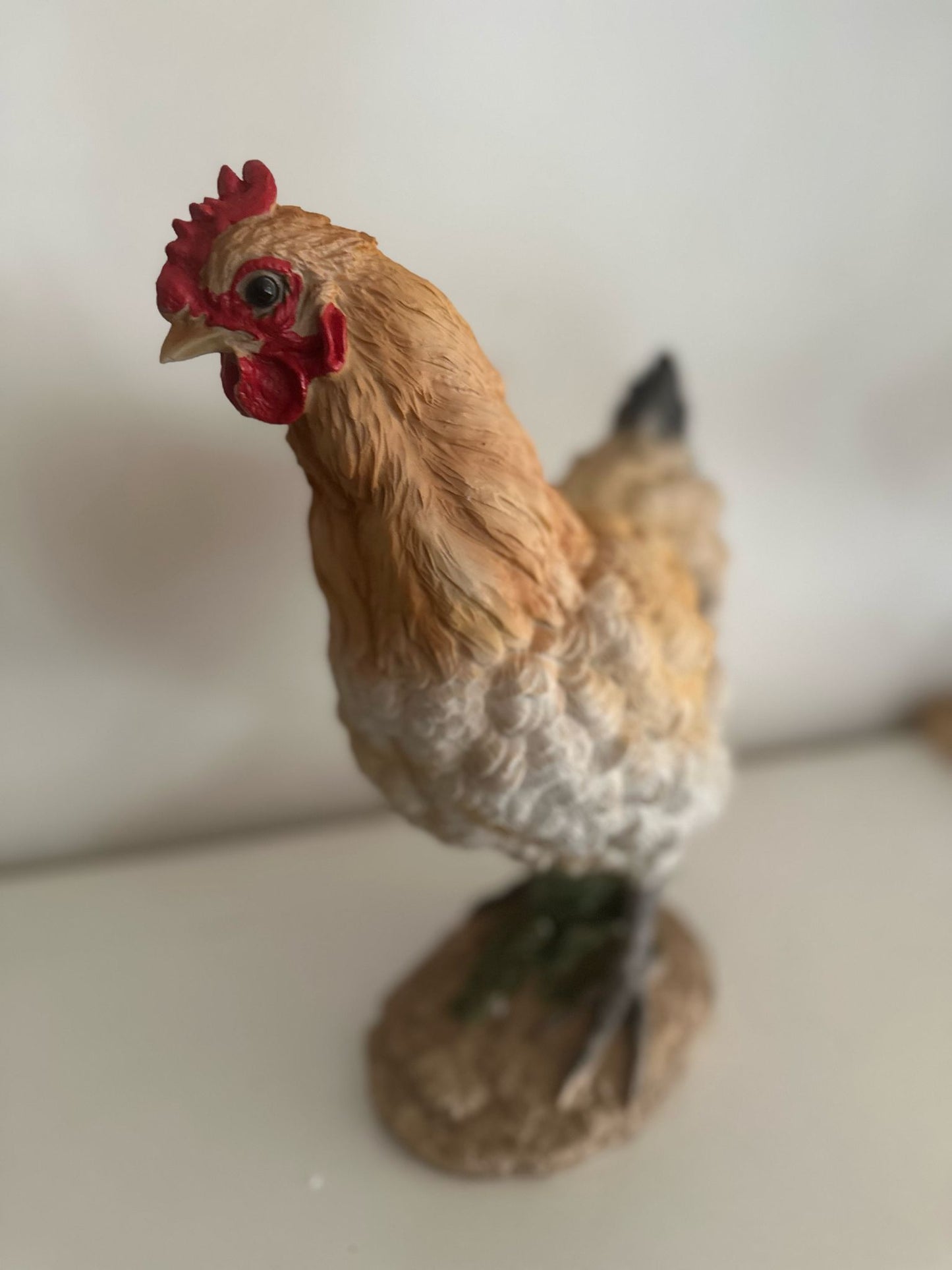 Kippen - Kip - Staande kip - Bruin