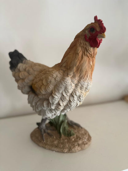 Kippen - Kip - Staande kip - Bruin