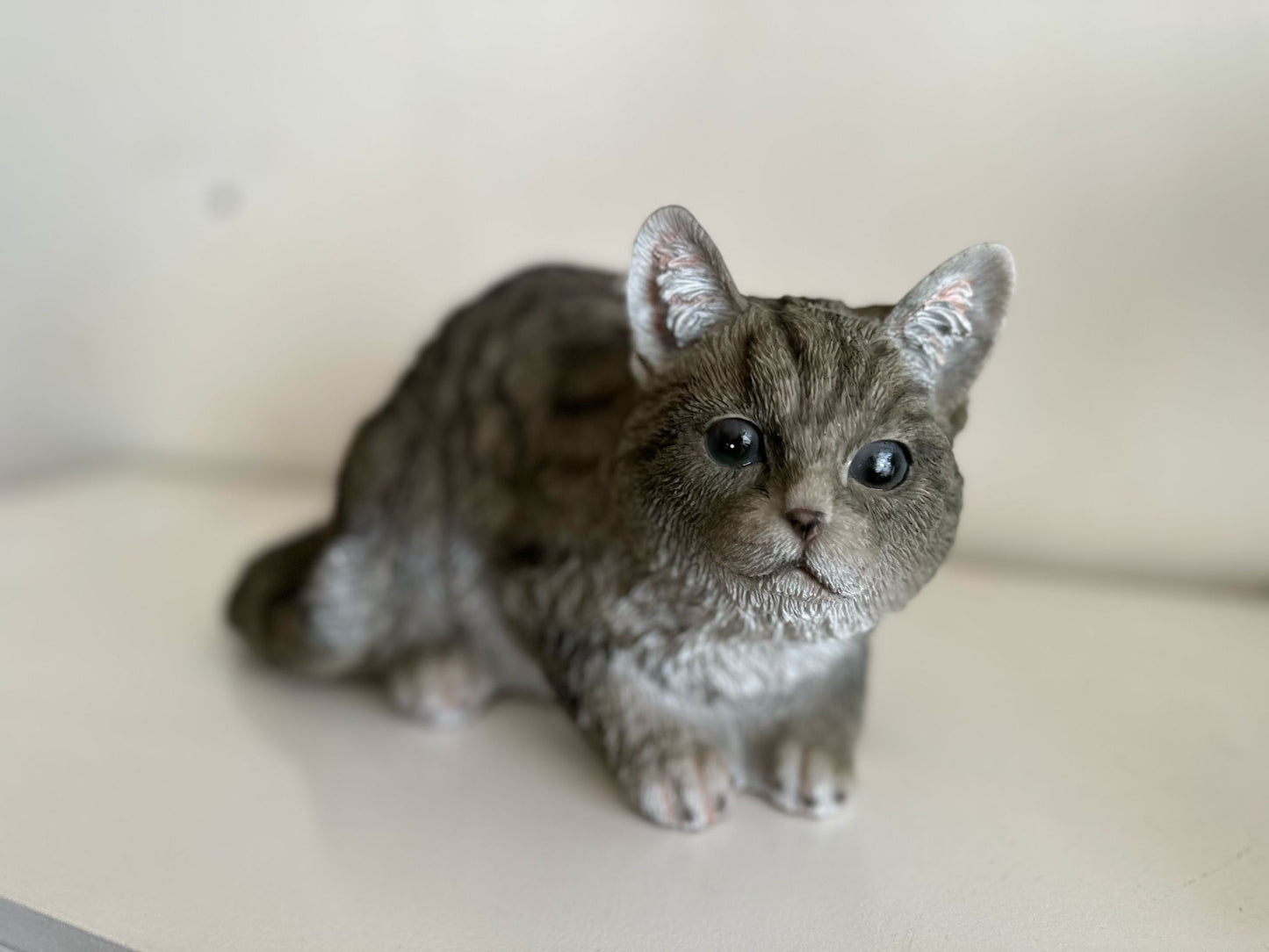 Katten - Poes - Poezen - verschillende modellen
