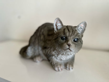 Katten - Poes - Poezen - verschillende modellen