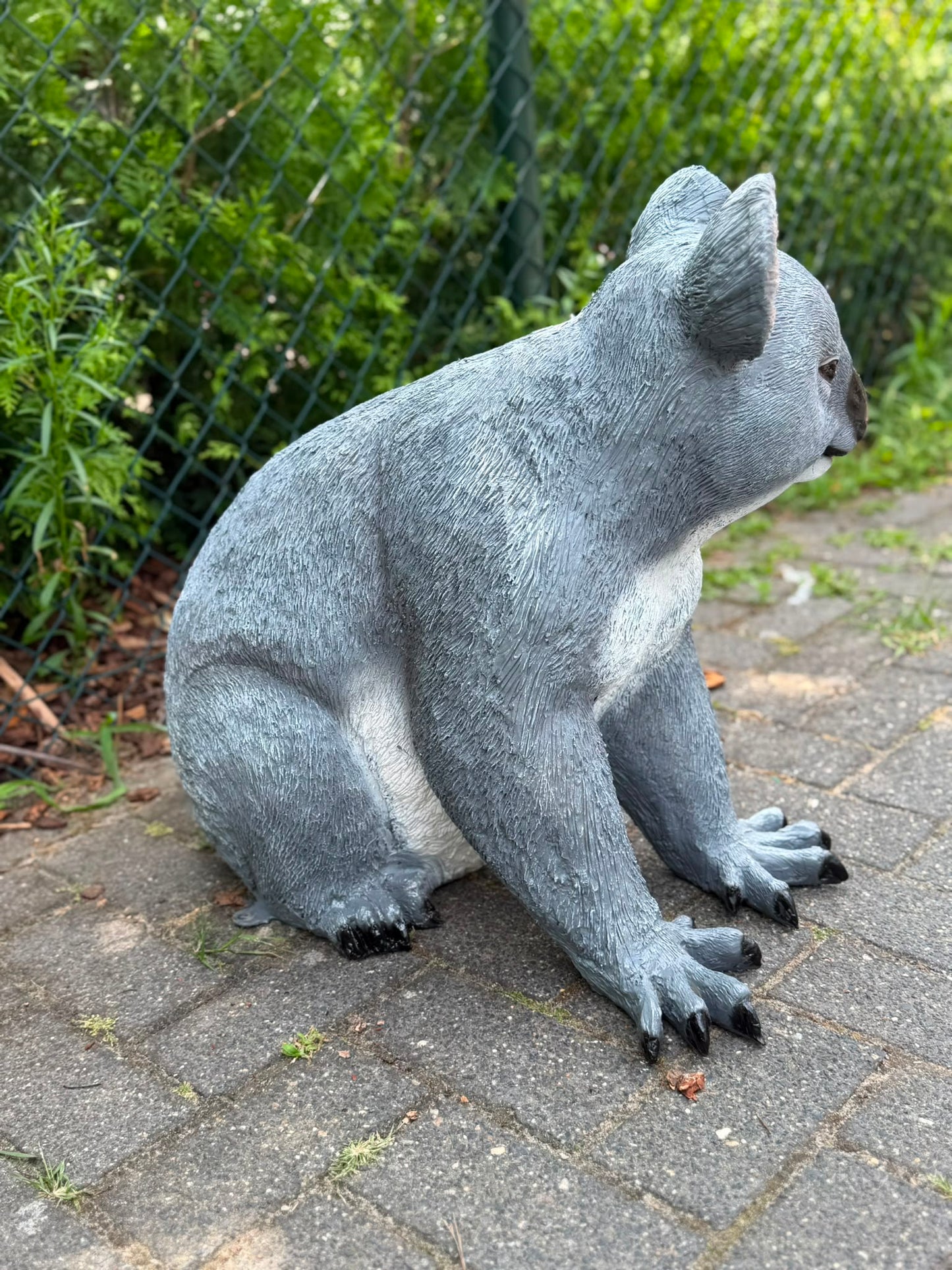 Super leuke Koala beer. (60cm hoog)