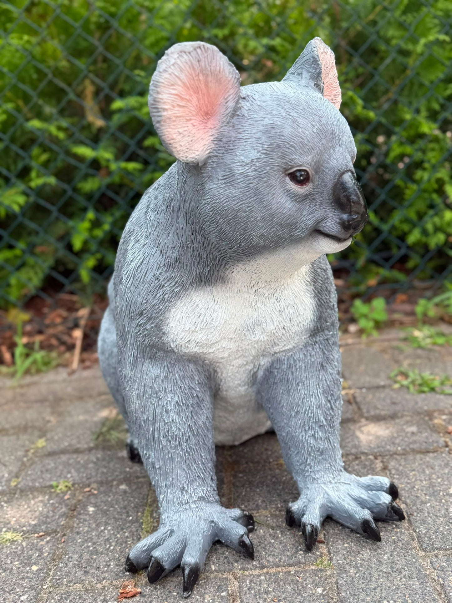 Super leuke Koala beer. (60cm hoog)