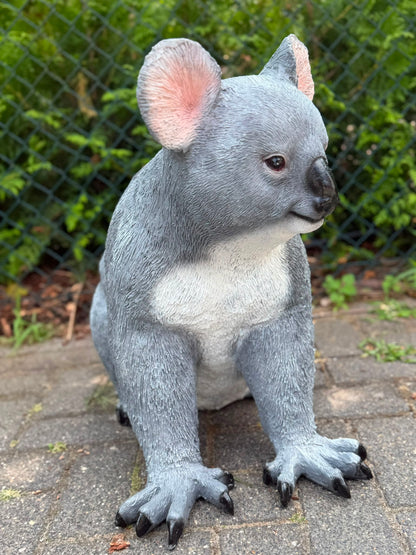 Super leuke Koala beer. (60cm hoog)