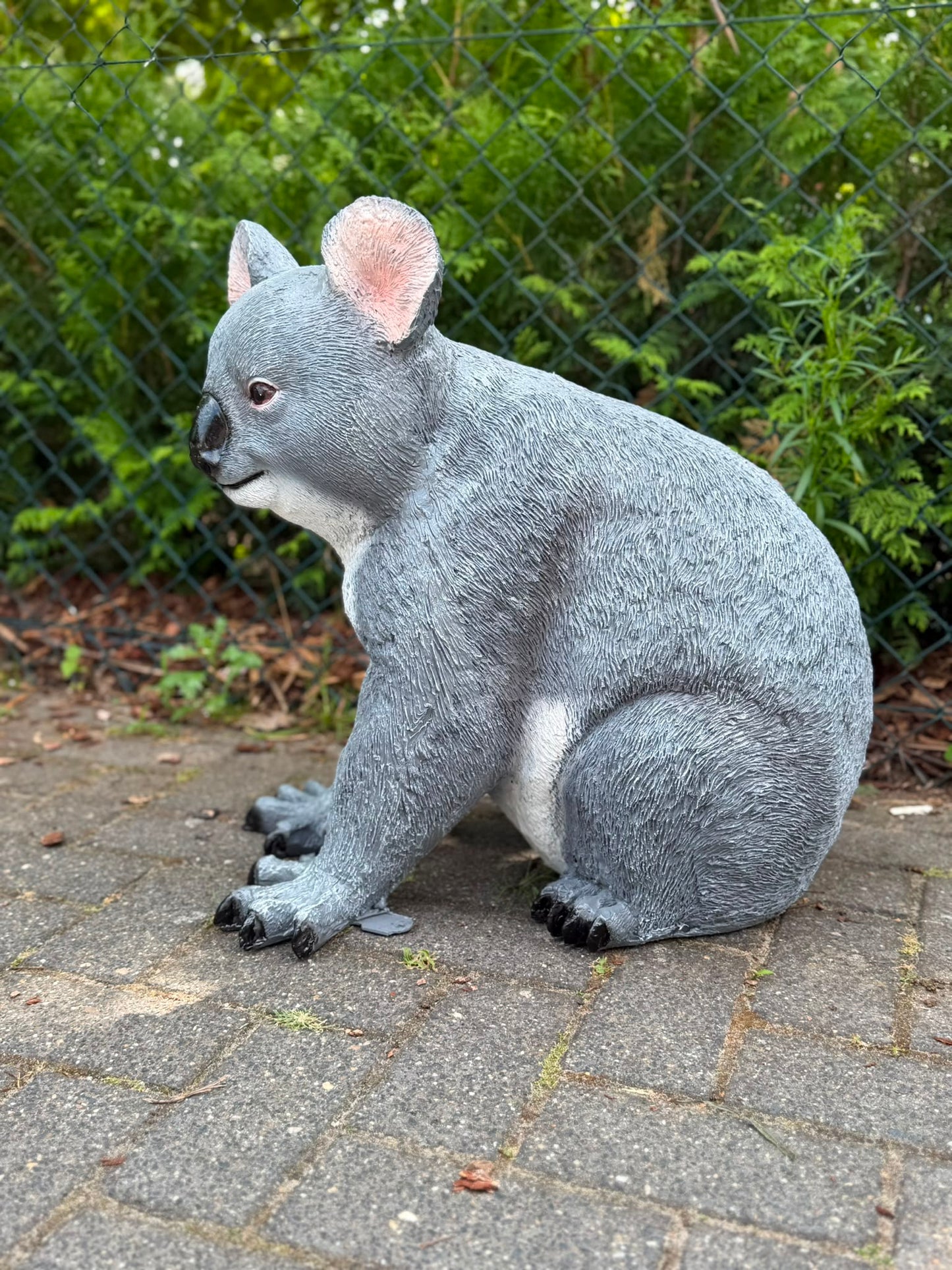 Super leuke Koala beer. (60cm hoog)
