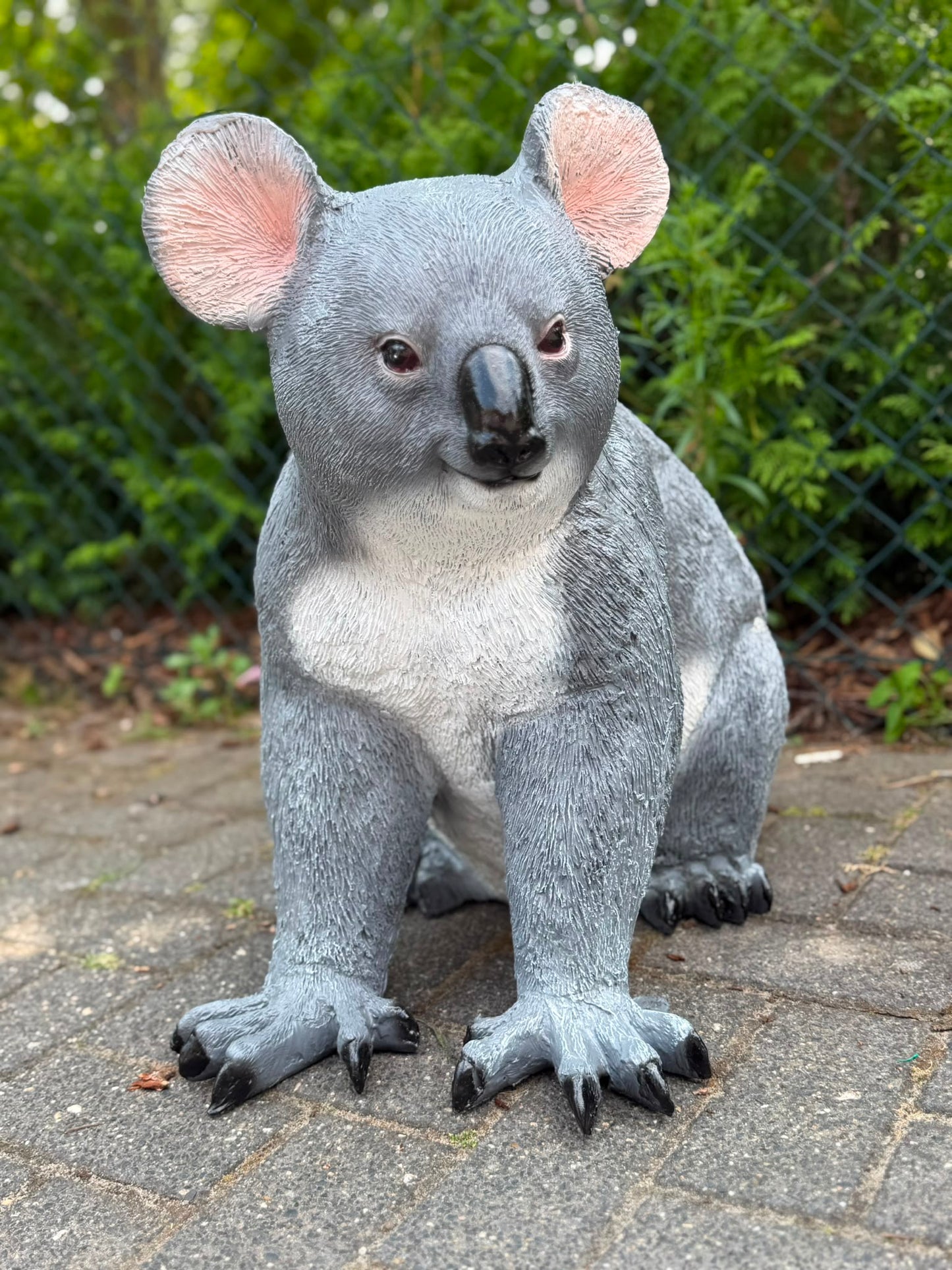 Super leuke Koala beer. (60cm hoog)