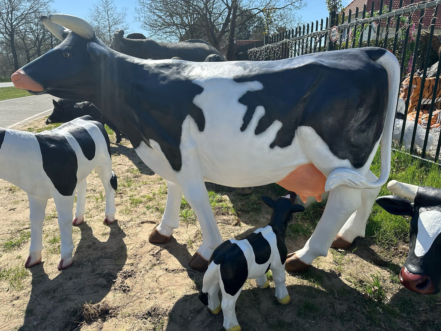 Levensgrote koe staand  (210cm lang)