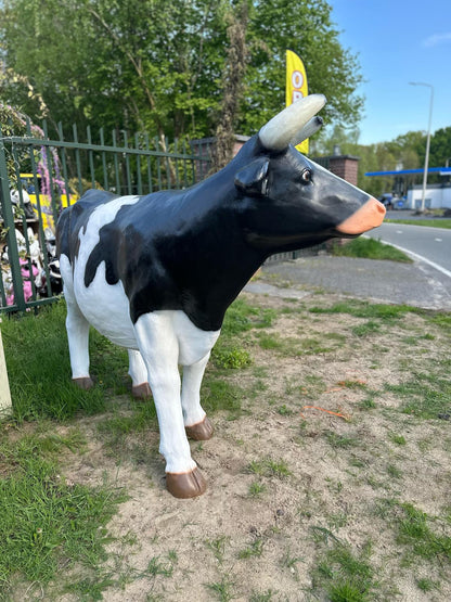 Levensgrote koe staand  (210cm lang)