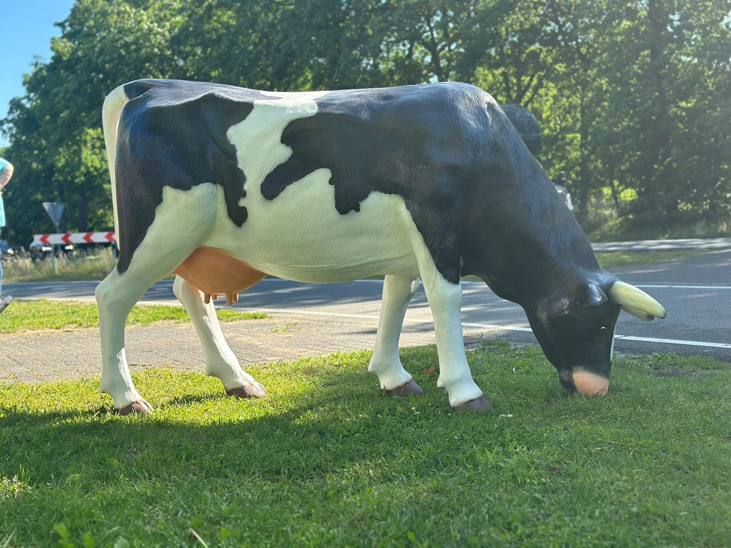 Levensgrote koe zwart/wit grazend (210cm lang)