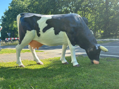 Levensgrote koe zwart/wit grazend (210cm lang)