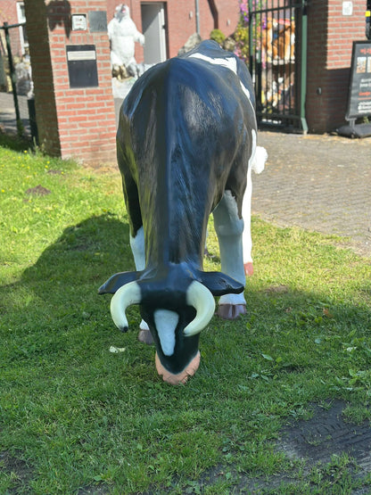 Levensgrote koe zwart/wit grazend (210cm lang)