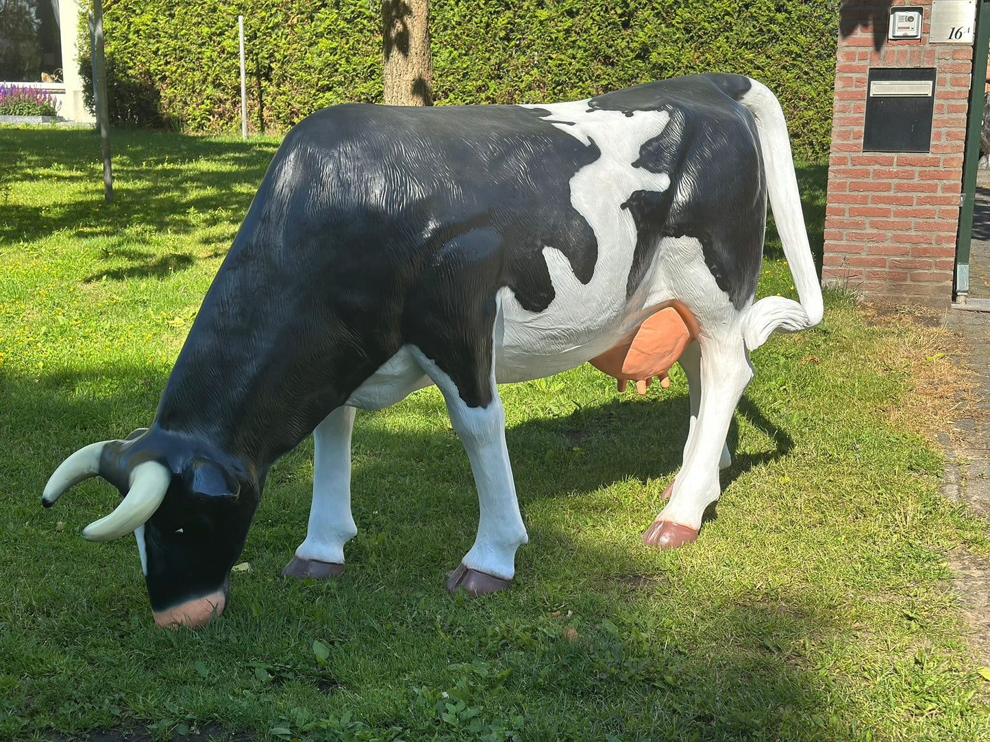 Levensgrote koe zwart/wit grazend (210cm lang)