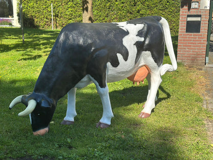 Levensgrote koe zwart/wit grazend (210cm lang)