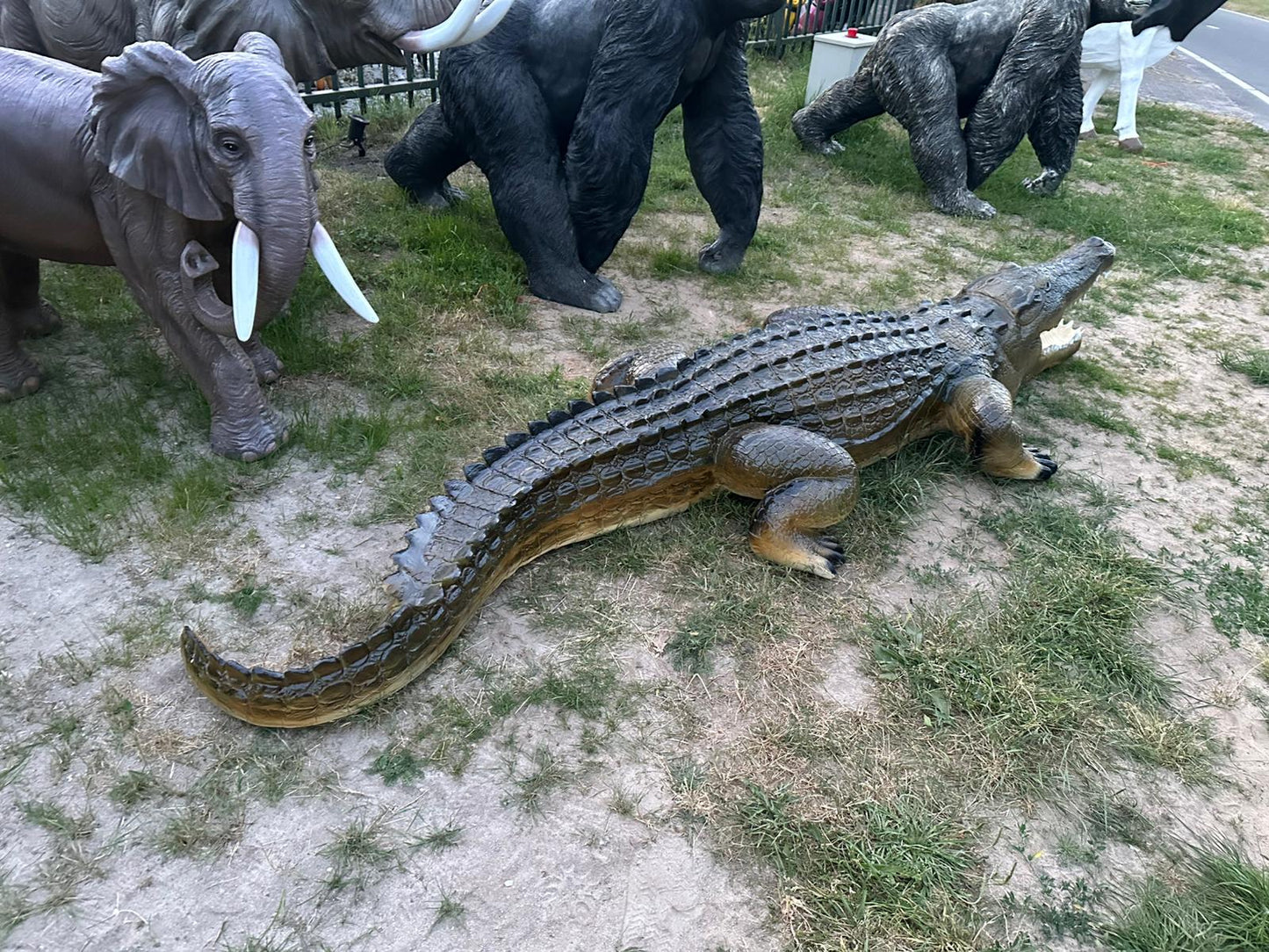 Krokodillen - Levensgrote Krokodil - 350cm lang- Originele kleur