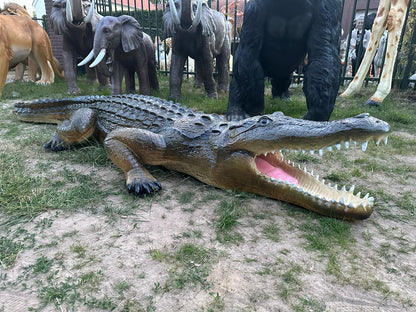 Krokodillen - Levensgrote Krokodil - 350cm lang- Originele kleur