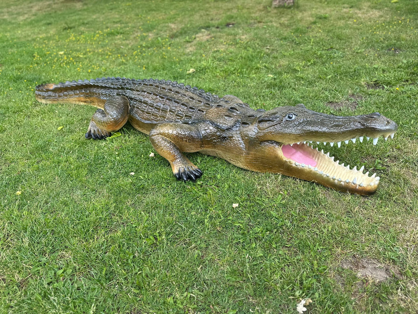 Krokodillen - Levensgrote Krokodil - 350cm lang- Originele kleur