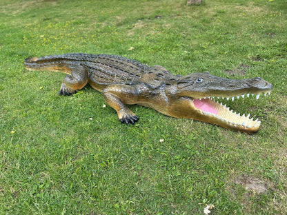 Krokodillen - Levensgrote Krokodil - 350cm lang- Originele kleur