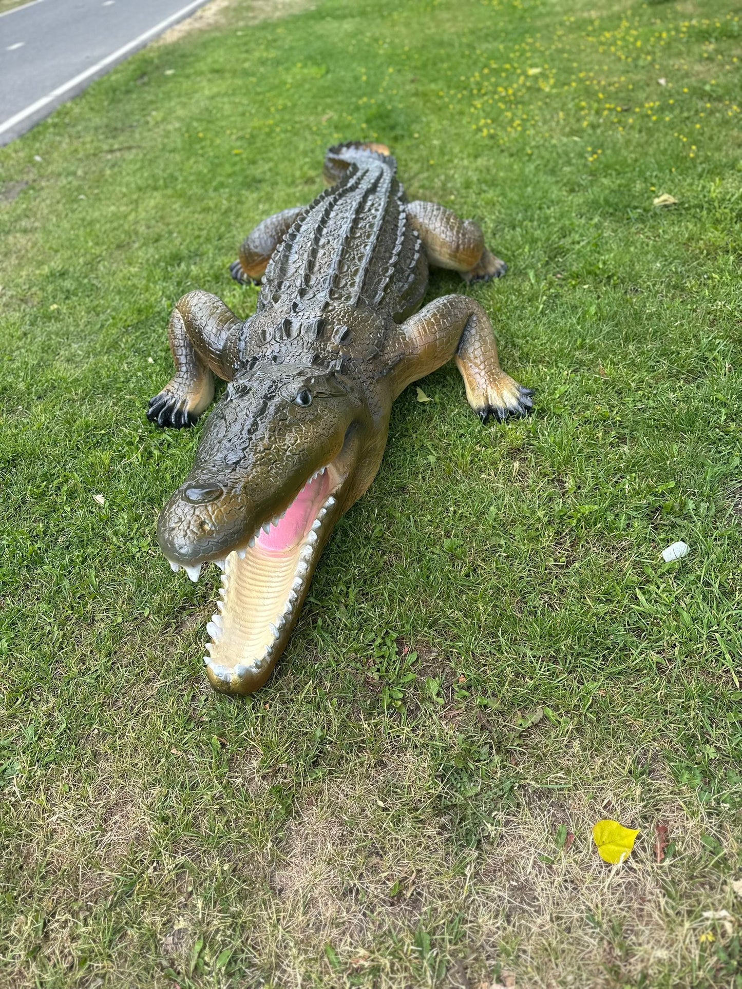 Krokodillen - Levensgrote Krokodil - 350cm lang- Originele kleur