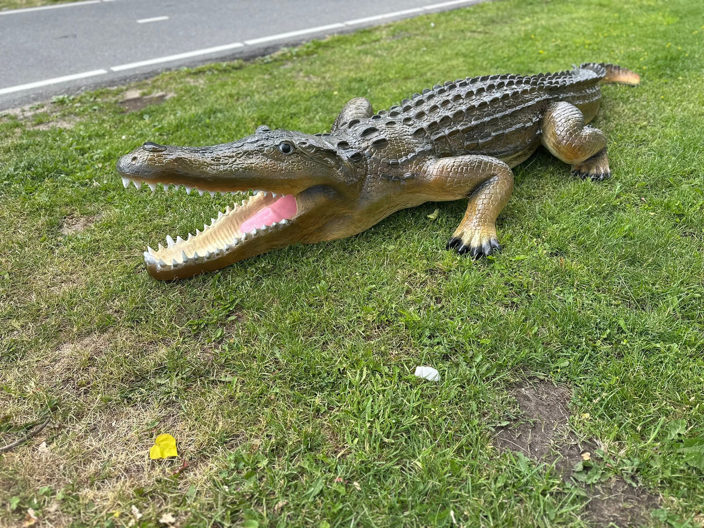Krokodillen - Levensgrote Krokodil - 350cm lang- Originele kleur