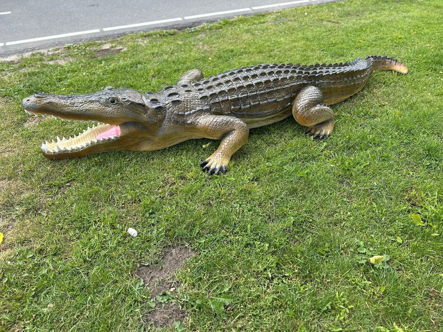 Krokodillen - Levensgrote Krokodil - 350cm lang- Originele kleur