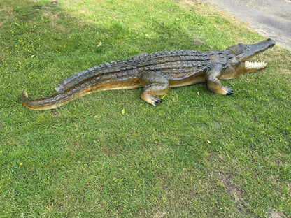 Krokodillen - Levensgrote Krokodil - 350cm lang- Originele kleur