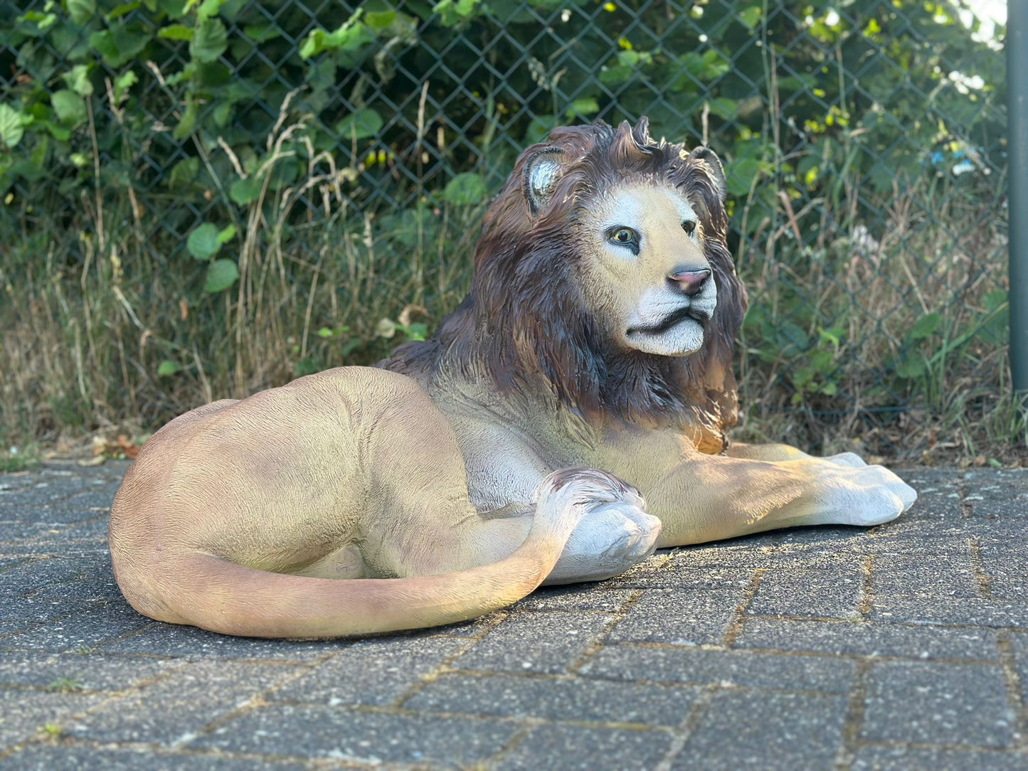 Leeuw - Liggende Leeuw - XL - Orginele kleur - 90cm Lang