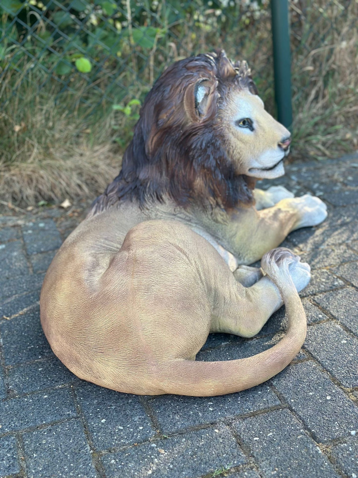 Leeuw - Liggende Leeuw - XL - Orginele kleur - 90cm Lang