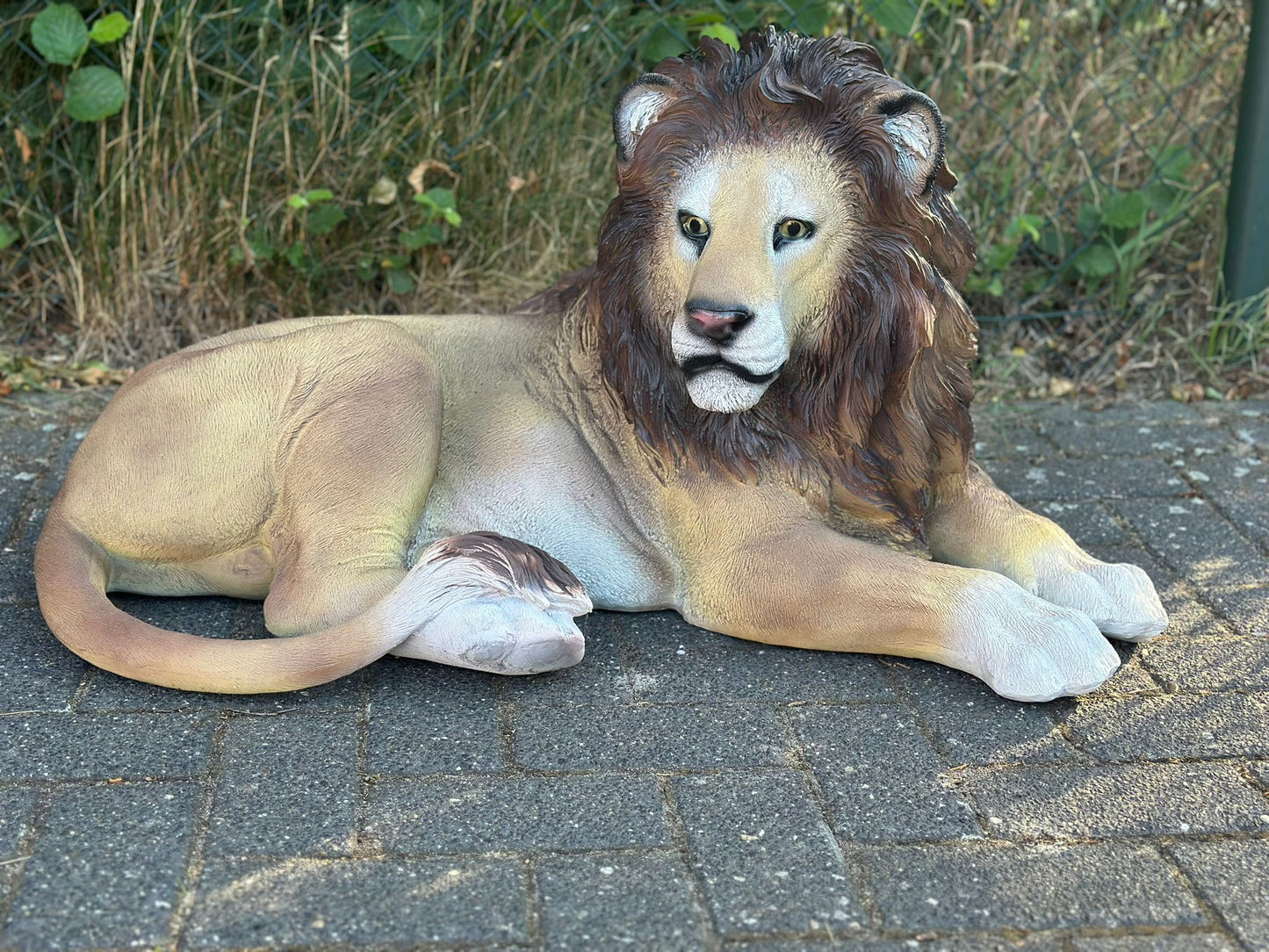 Leeuw - Liggende Leeuw - XL - Orginele kleur - 90cm Lang