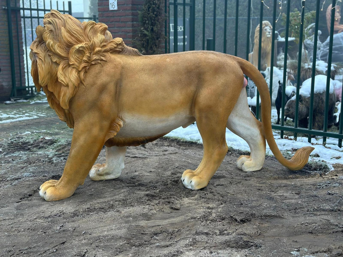 Leeuw - Staande Leeuw - XXXXL - Orginele kleur - 250cm Lang