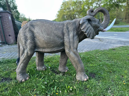 Olifant - Levensechte Olifant - 200cm lang - originele kleur.