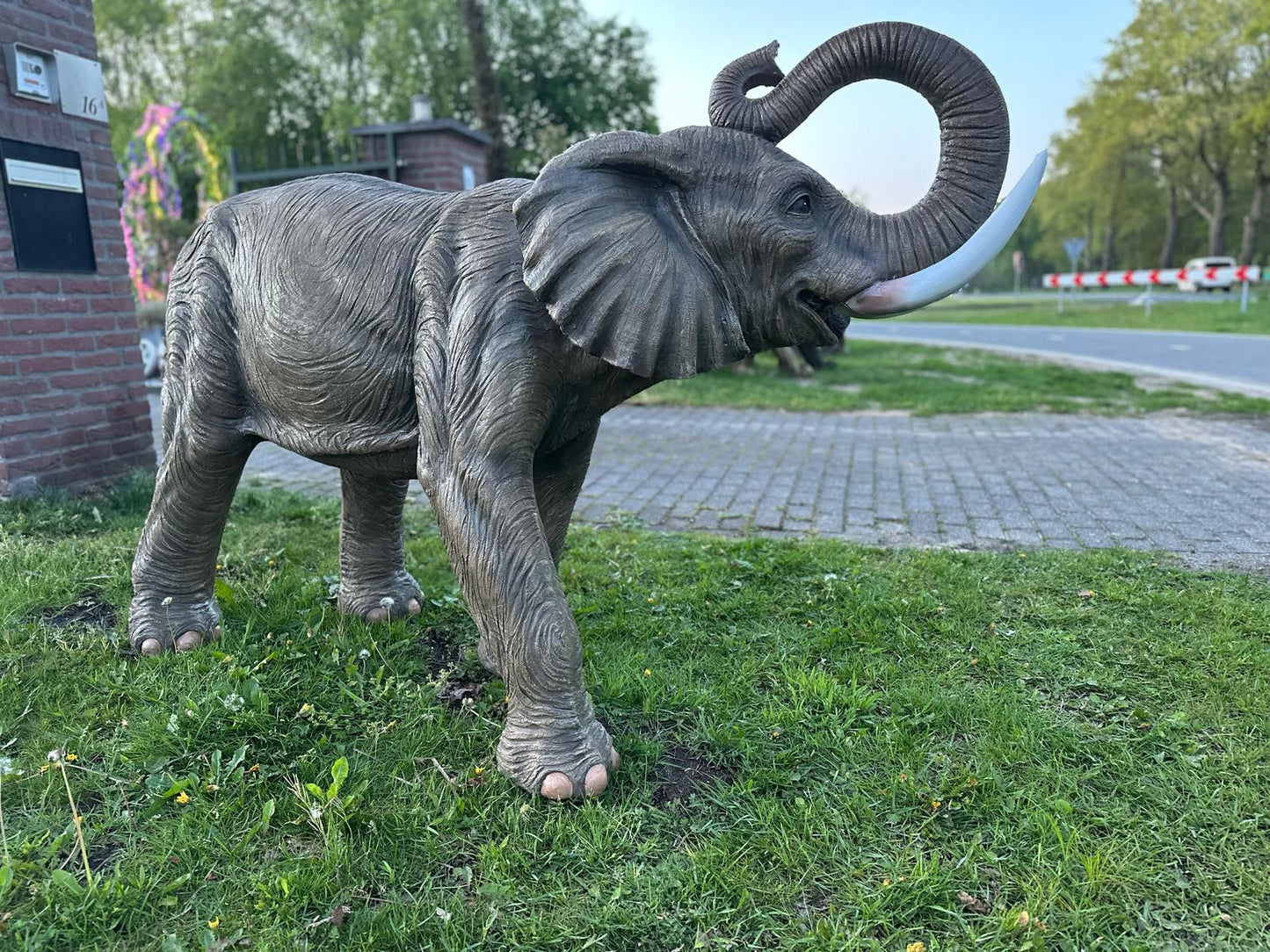 Olifant - Levensechte Olifant - 200cm lang - originele kleur.