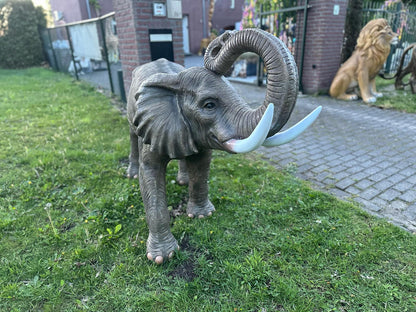 Olifant - Levensechte Olifant - 200cm lang - originele kleur.