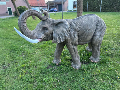 Olifant - Levensechte Olifant - 200cm lang - originele kleur.