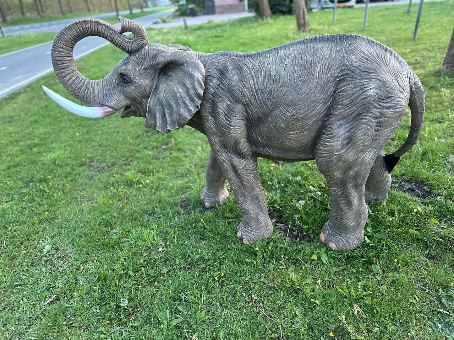 Olifant - Levensechte Olifant - 200cm lang - originele kleur.