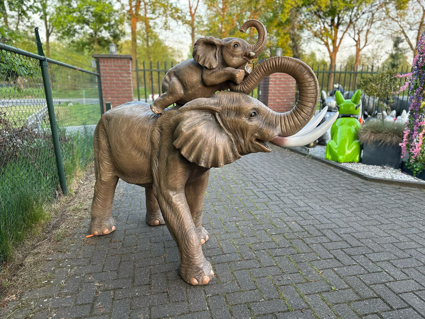 Olifant - Levensechte Olifant - met baby Olifant- 200cm lang - originele kleur.