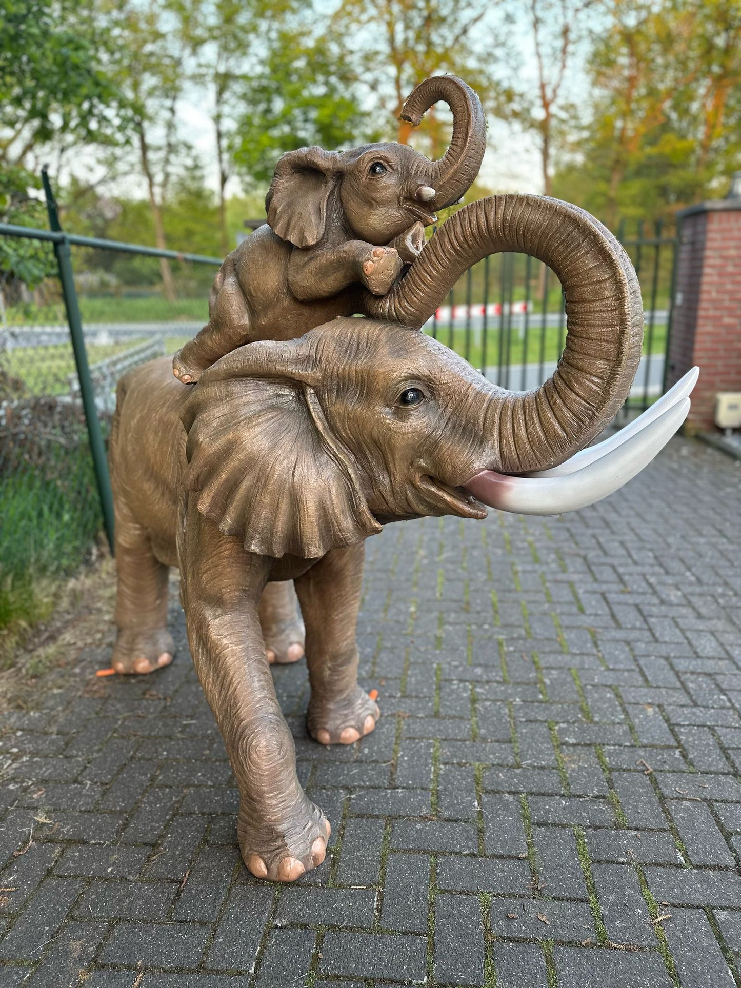 Olifant - Levensechte Olifant - met baby Olifant- 200cm lang - originele kleur.